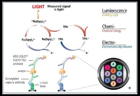 Electrochemiluminescence Technology 